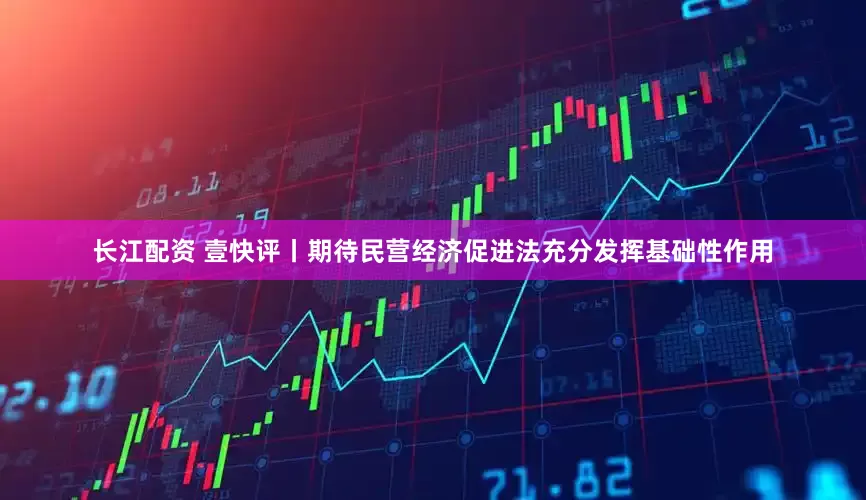 长江配资 壹快评丨期待民营经济促进法充分发挥基础性作用