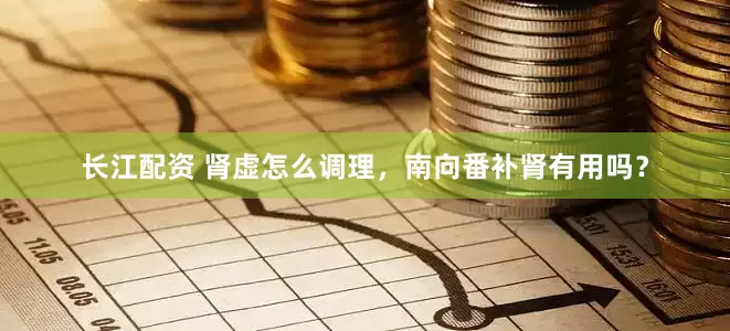 长江配资 肾虚怎么调理，南向番补肾有用吗？